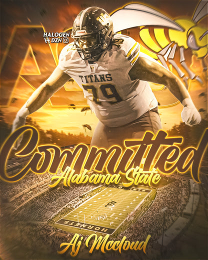 D2-D3 COMMITMENT GRAPHIC (EXTRA DETAILED)