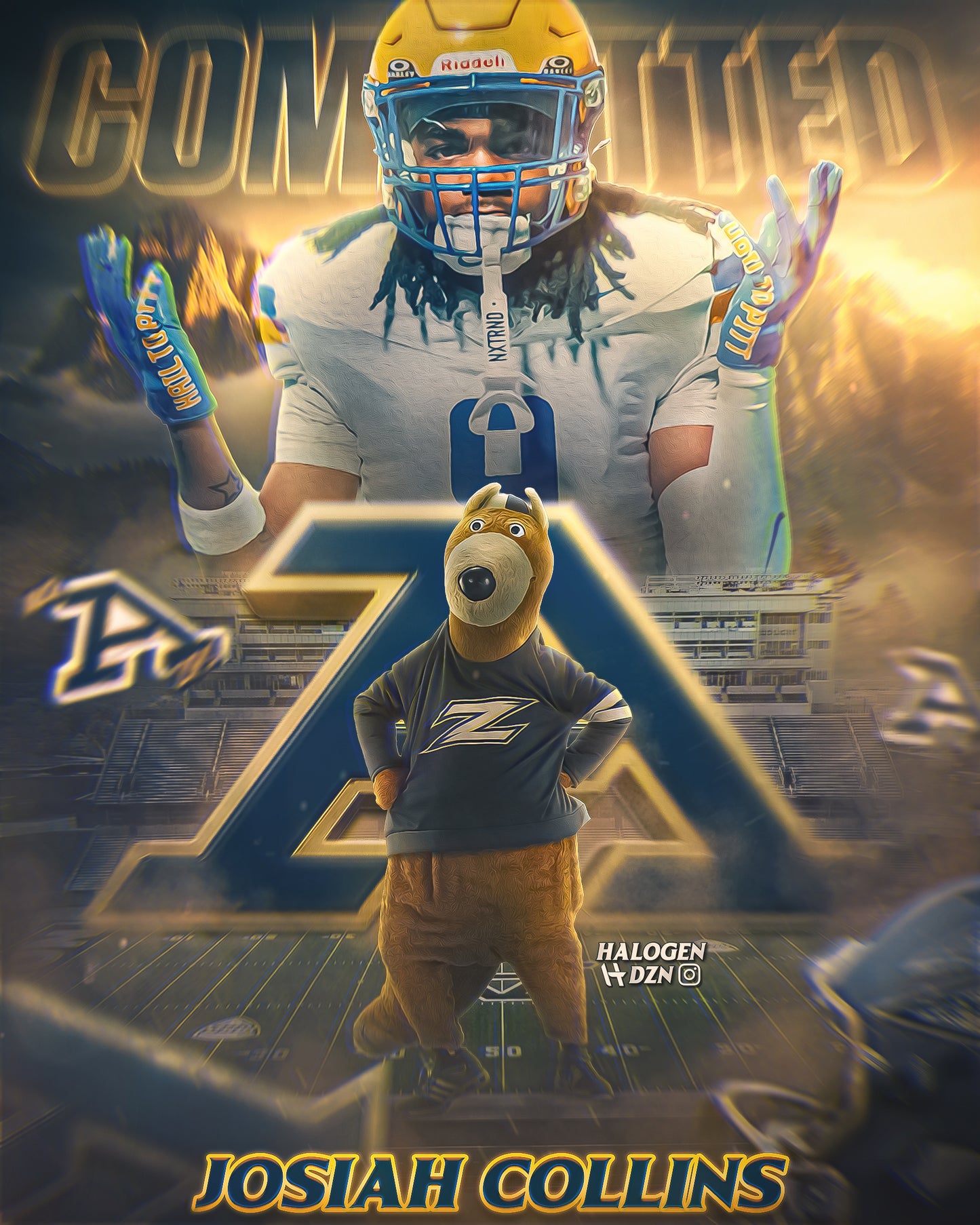 D1 COMMITMENT GRAPHIC (EXTRA DETAILED)