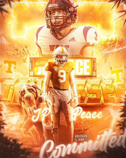 D1 COMMITMENT GRAPHIC (EXTRA DETAILED)