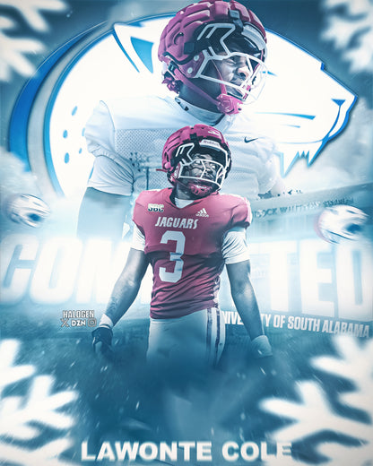 D1 COMMITMENT GRAPHIC (REGULAR)